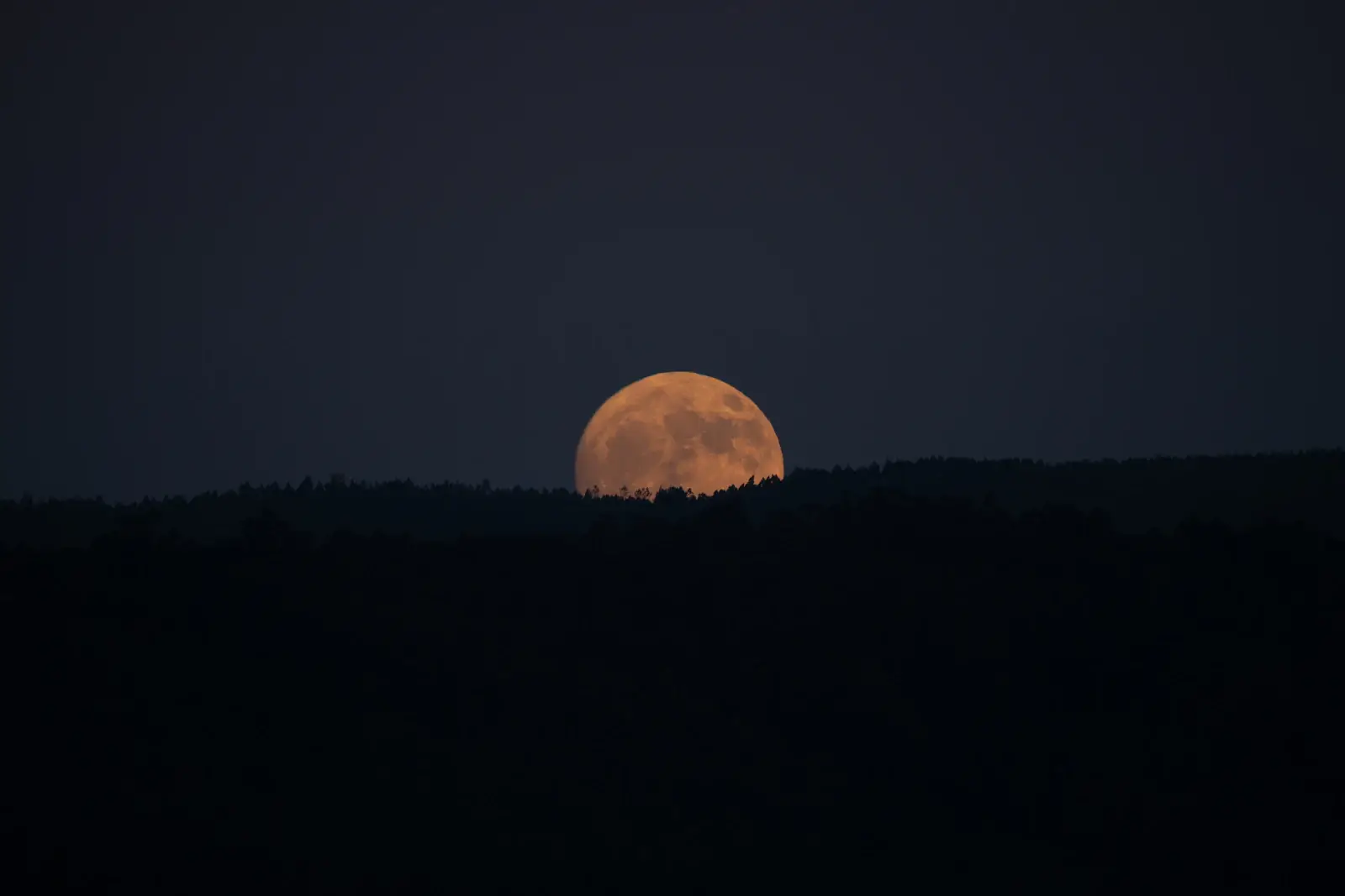 La pleine lune se lève sur une colline, des arbres au premier plan