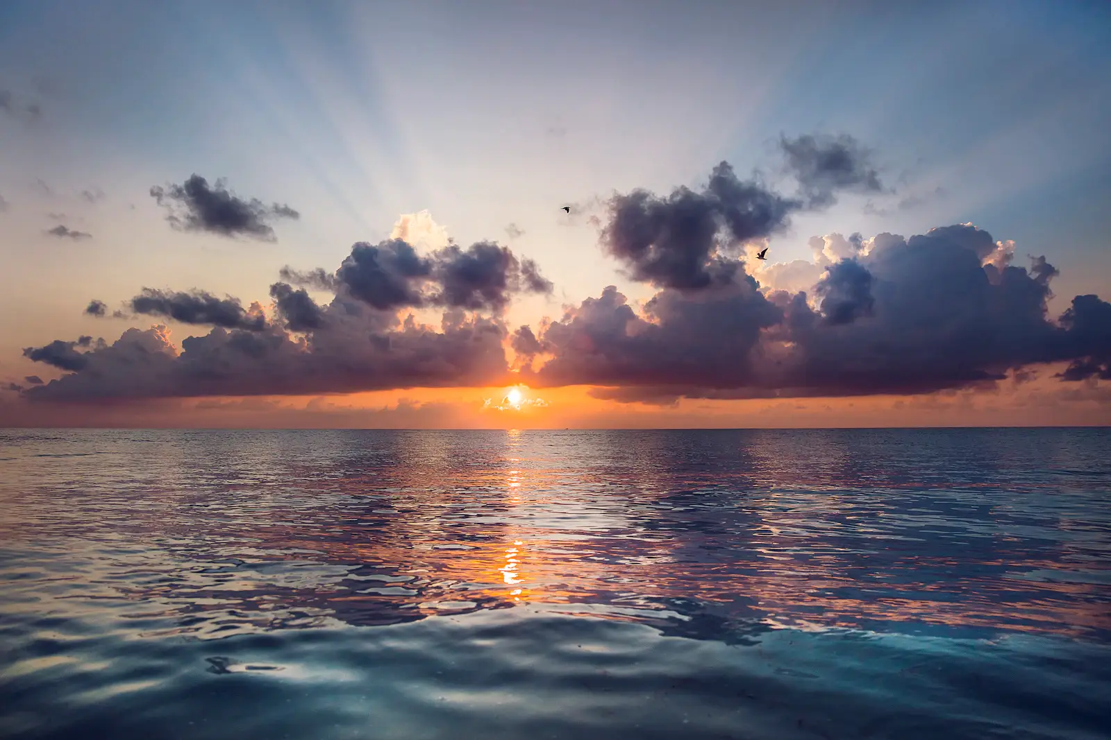 La mer sous un ciel bleu, au coucher du soleil