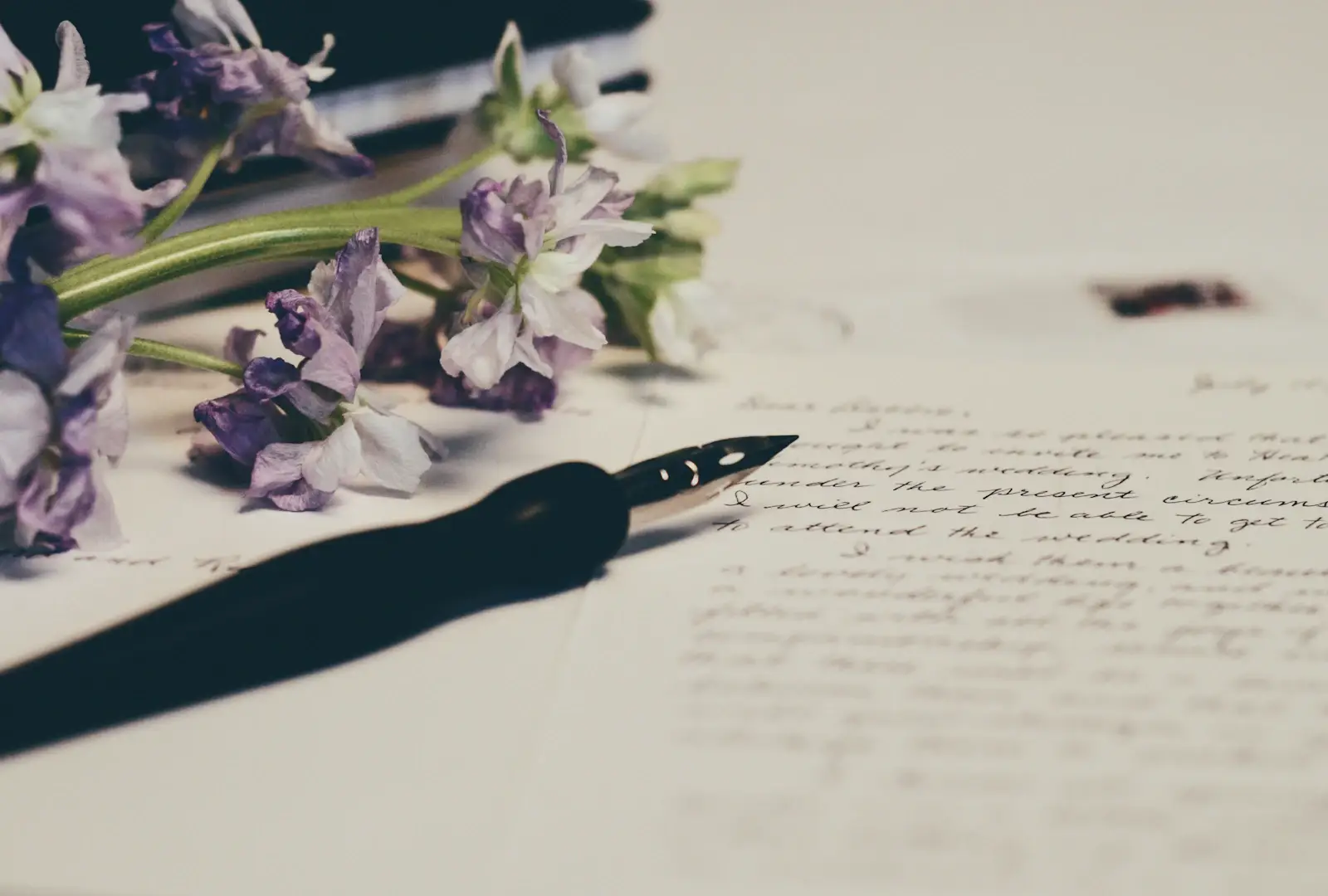 Des fleurs violettes et un stylo posés sur une lettre