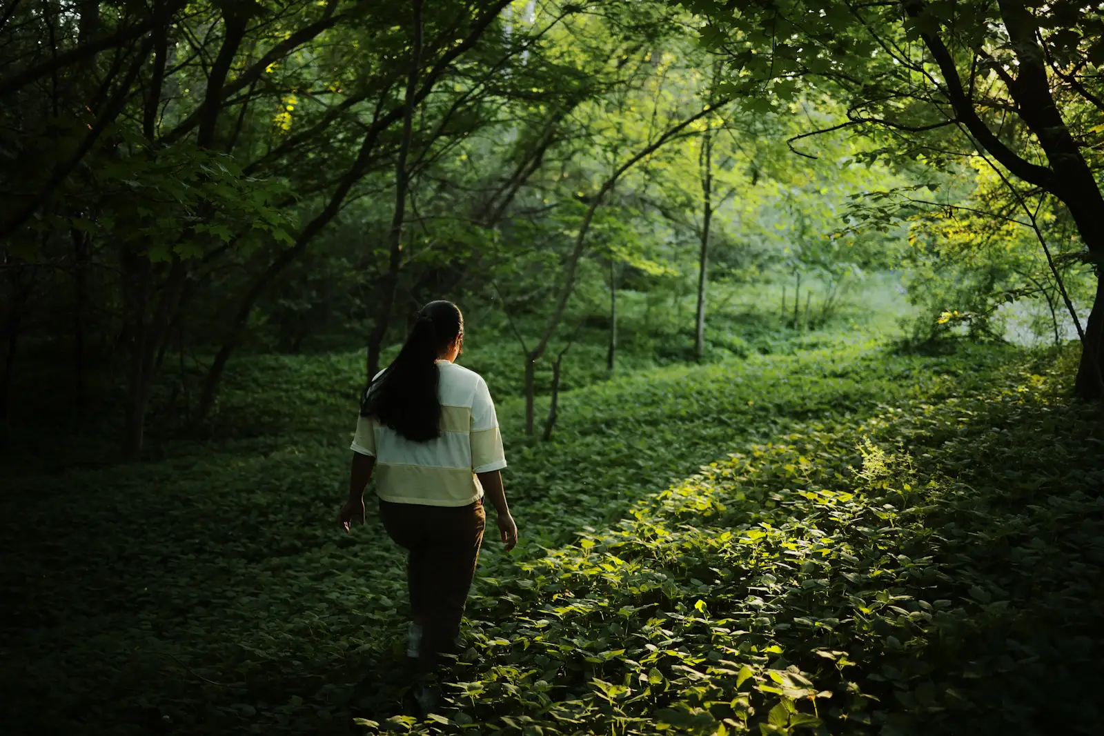 Une femme marche de dos sur un sentier forestier baigné de soleil